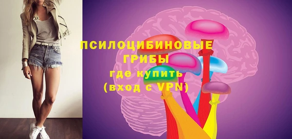 гидропоника Нея