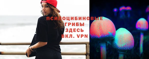 гидропоника Нея