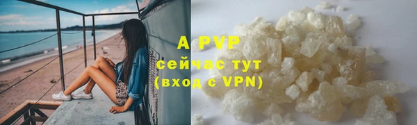 трава Наволоки