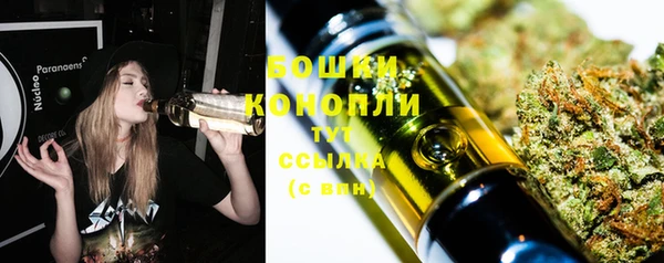 трава Наволоки